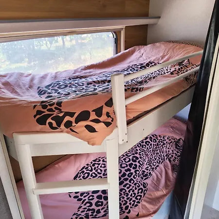 Campsite Quinta Lima Serta