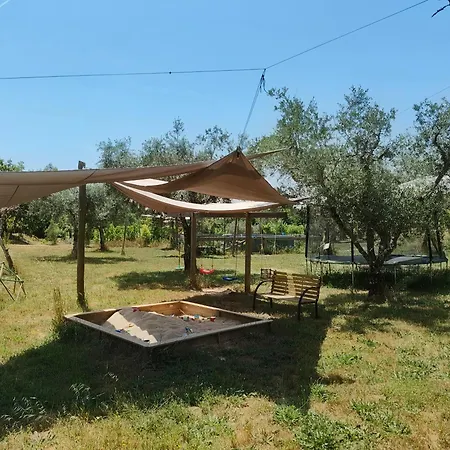 Quinta Lima * Serta