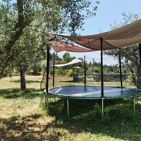Quinta Lima