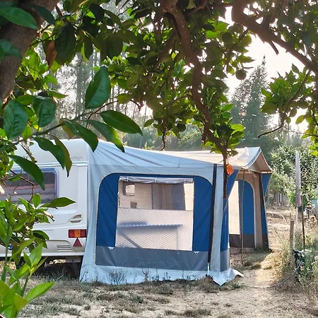 Campingplatz Quinta Lima Sertã