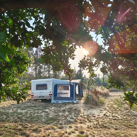 Campingplatz Quinta Lima *