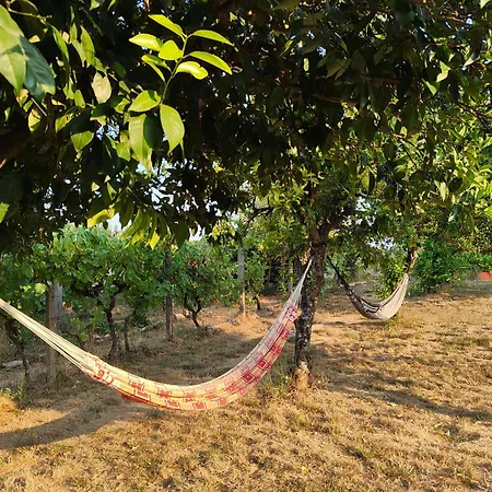 Quinta Lima * Sertã